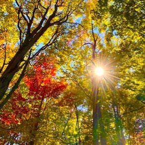 automne_2021_blogue